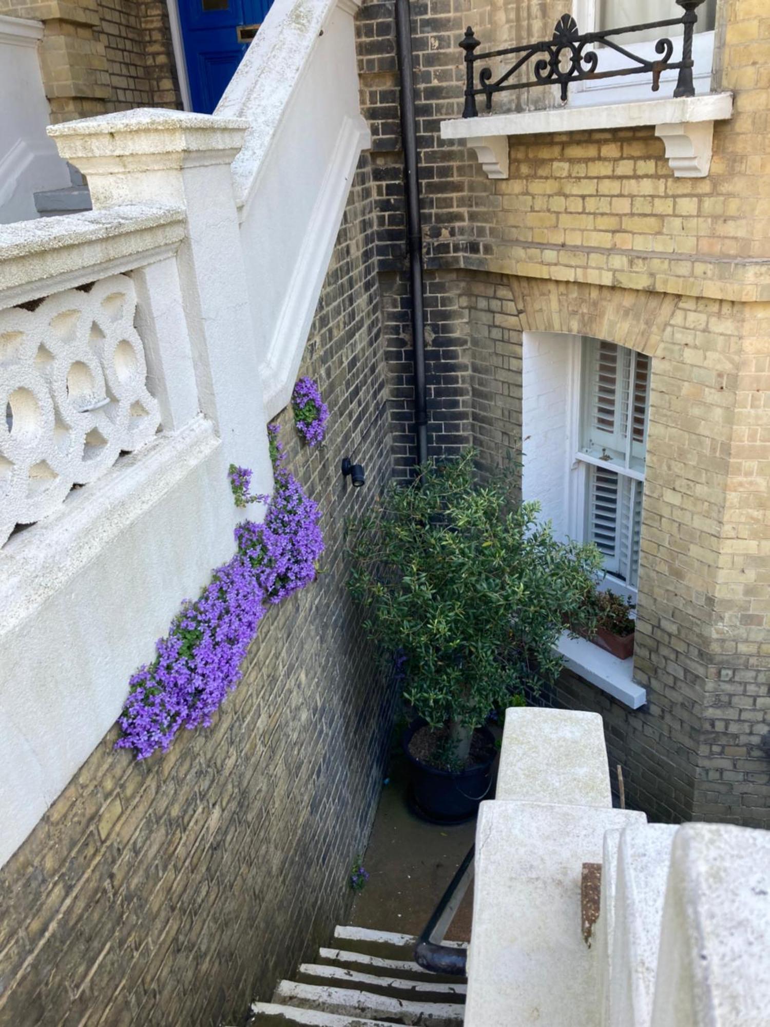 Olive Tree Apartment Hove الغرفة الصورة